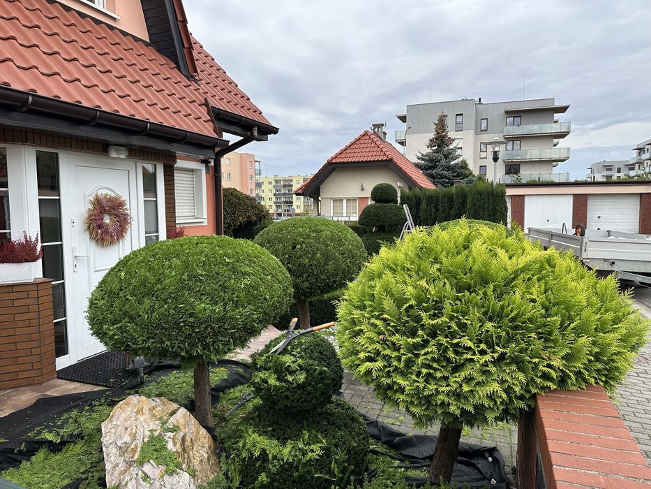 Usługi Ogrodnicze „Gardener”