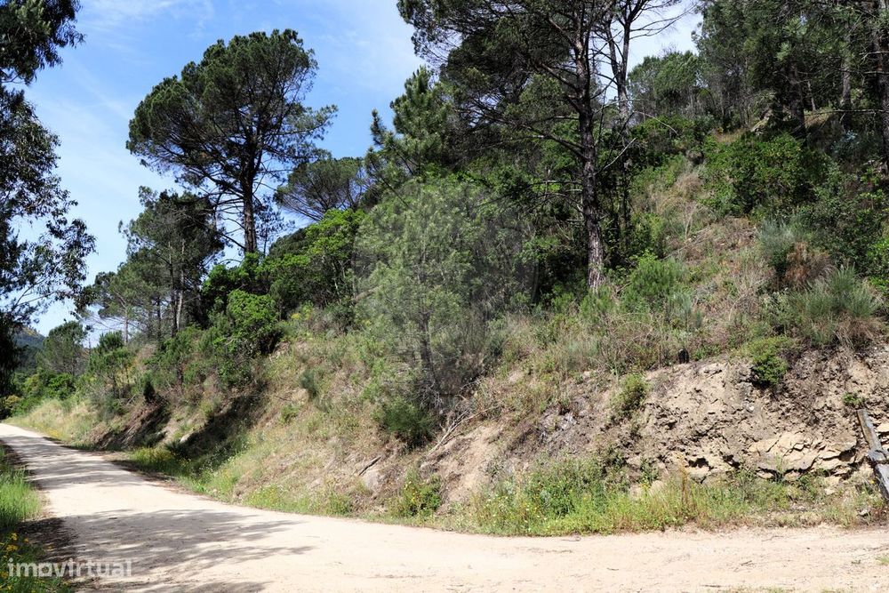 Terreno  para venda — Ancede E Ribadouro, Porto