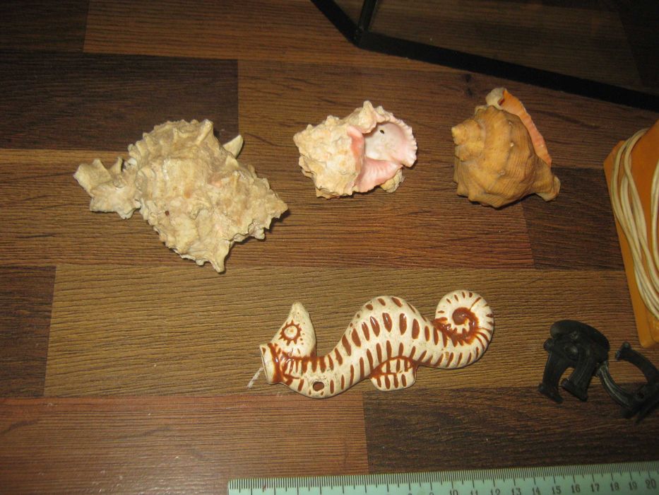 Аквариум,с ракушками и компрессором