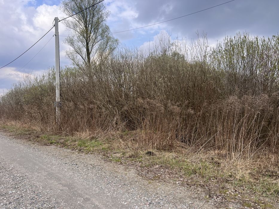 Продам ділянку 10соток Лозівка ( Бориспіль)