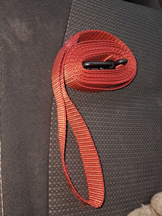 Новий поводок для собаки