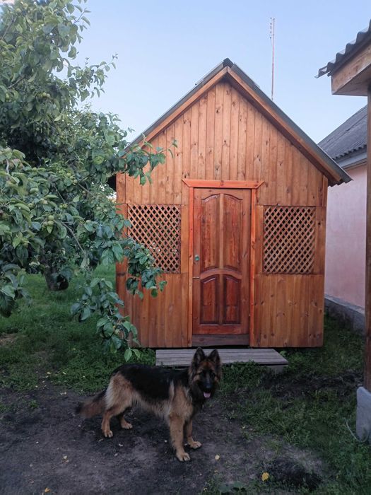 Деревяная беседка