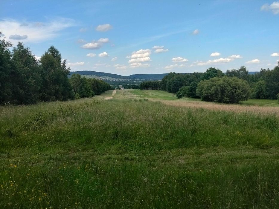 działka rolno  budowlana - Widok 4