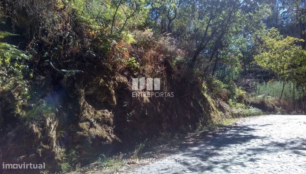 Venda Terreno, Soalhães, Marco de Canaveses — Marco, Porto