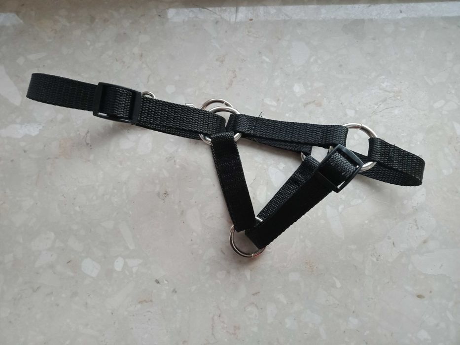 Kantar dla kóz, ogłowie, uprzęż