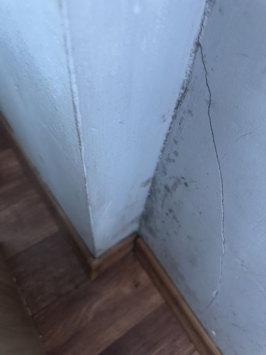 Знищення грибка , плісняви з гарантіею 3 роки. Удаление плесени грибок