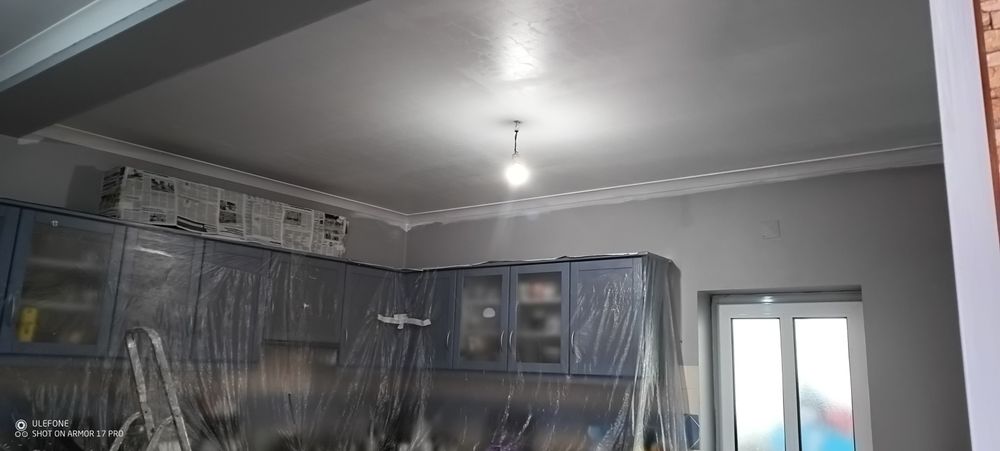 Pintor profissional422068335999068163