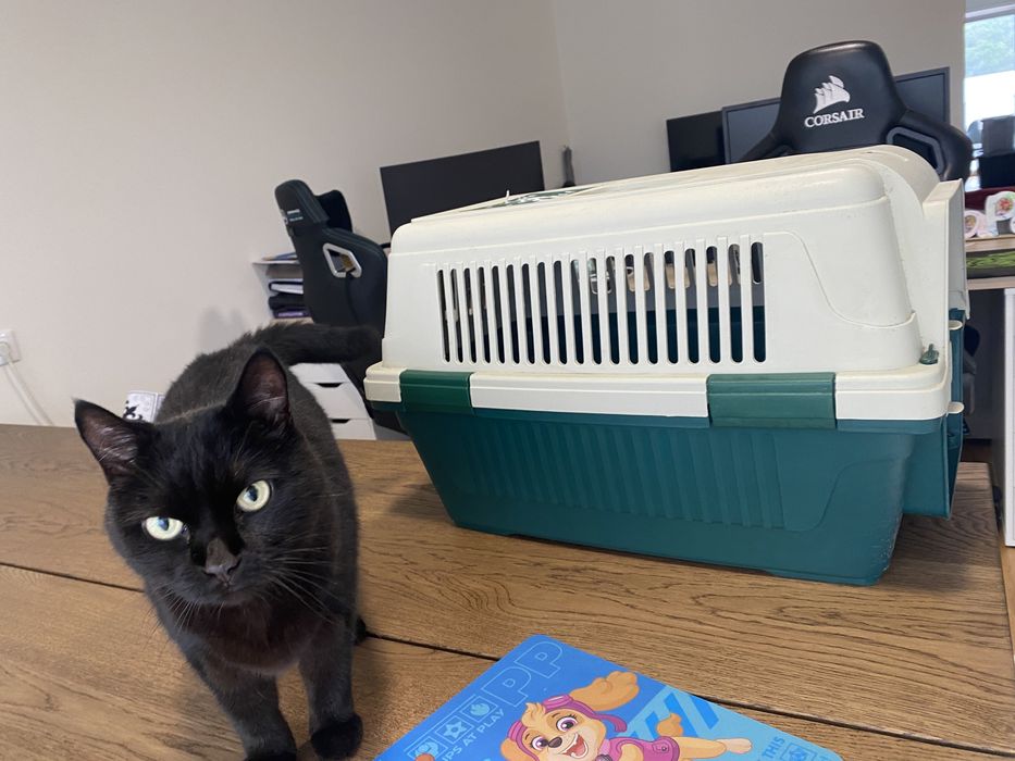 Caixa para transporte de animais de estimação