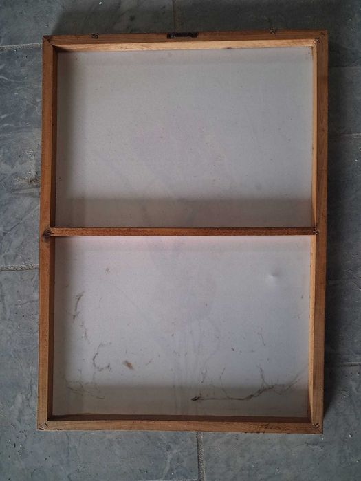 2 Quadros Modernos Flores Papoilas - Tela Decorativa Contemporânea (70x50cm)