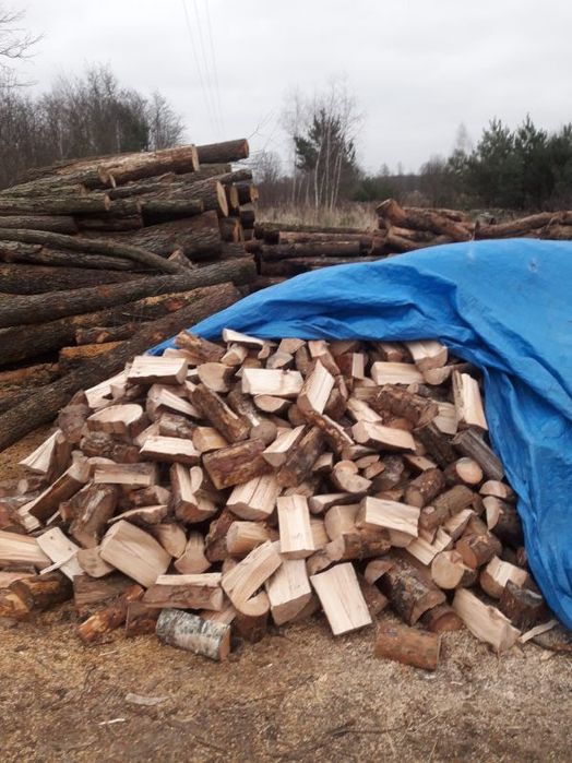 Drewno opałowe/kominkowe