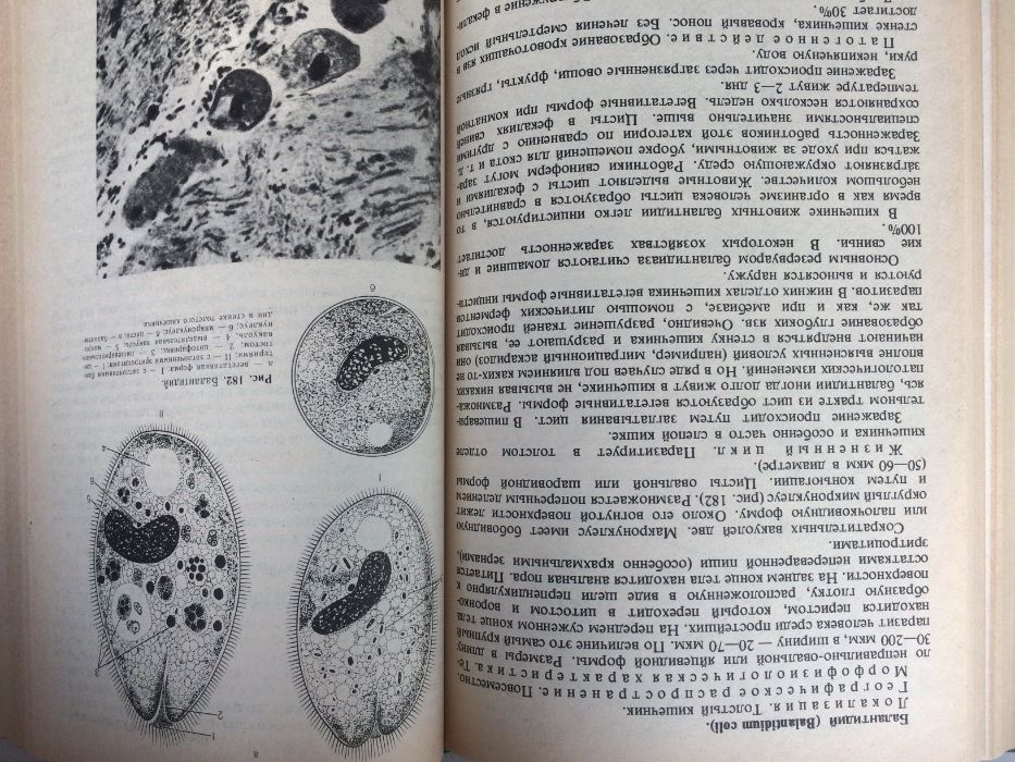 Биология (учебное пособие 1985г.)