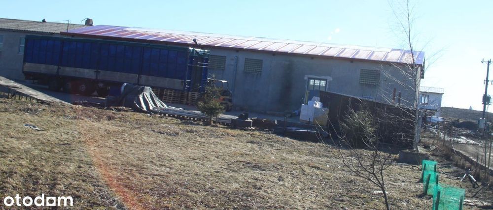 Działka inwestycyjna 8500m² z halą – usługi/rolna, dotacje - Widok 4