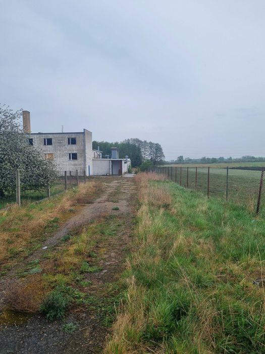 Wynajme budynek mieszkalno profukcyjno  usługowy