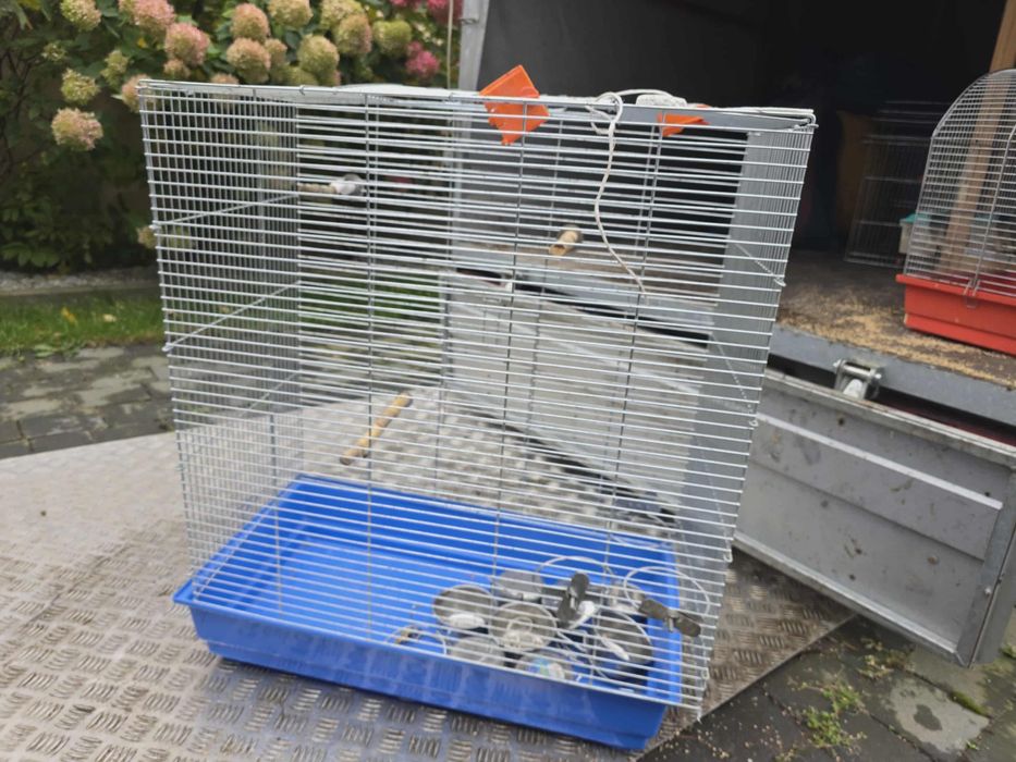 Regał dla ptaków papug kanarków