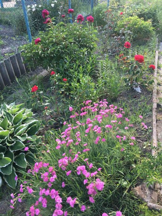 Дача Західний Буг