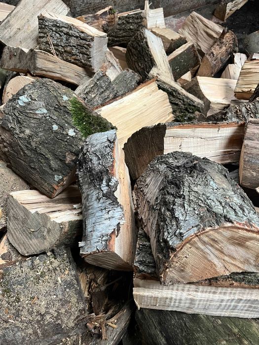 Drewno opałowe mieszanka liściasta