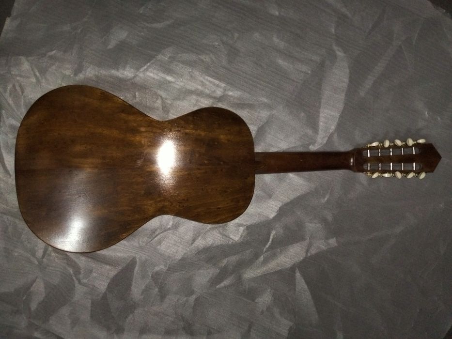Viola Braguesa nova