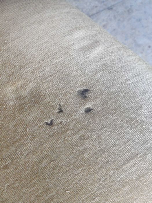 Cadeiras almofadadas