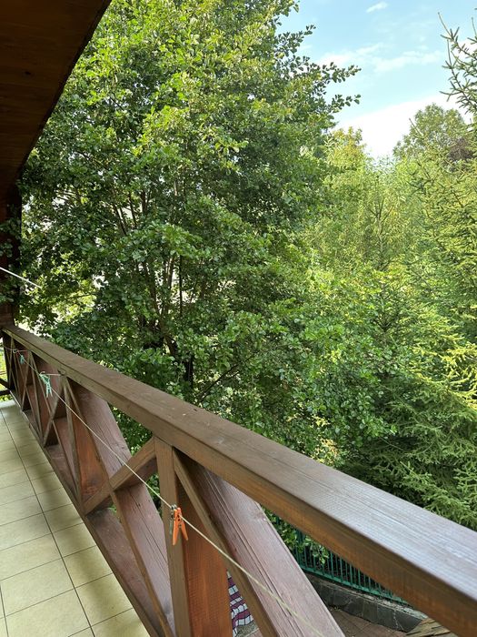 Відпочинок у Карпатах