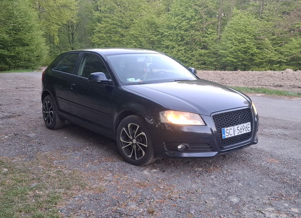Audi a3 8p 1.9TDI 105 km