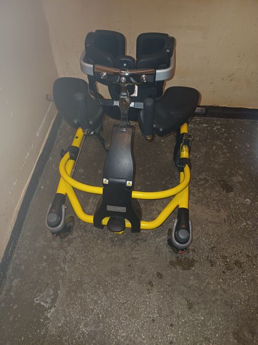 Pionizator Mustang r82