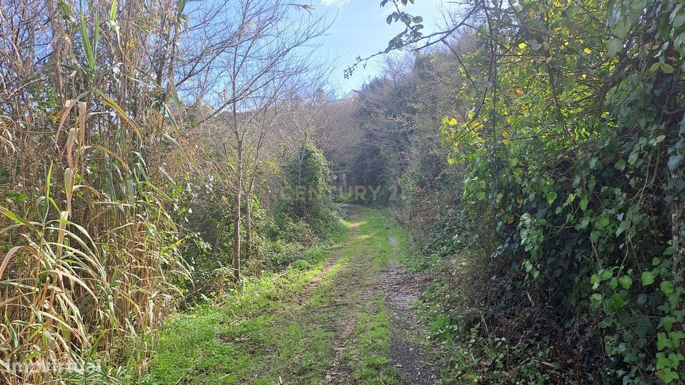 Terreno Agrícola - São João das Lampas — São João Das Lampas E Terrugem, Lisboa