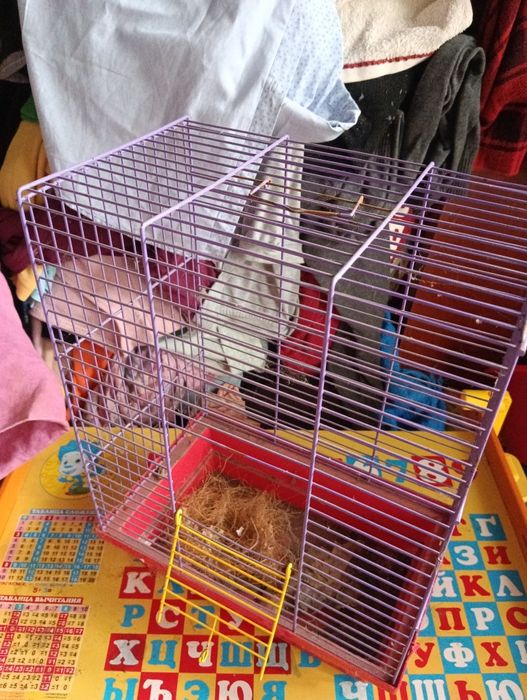 Клітка вольер,+переноска