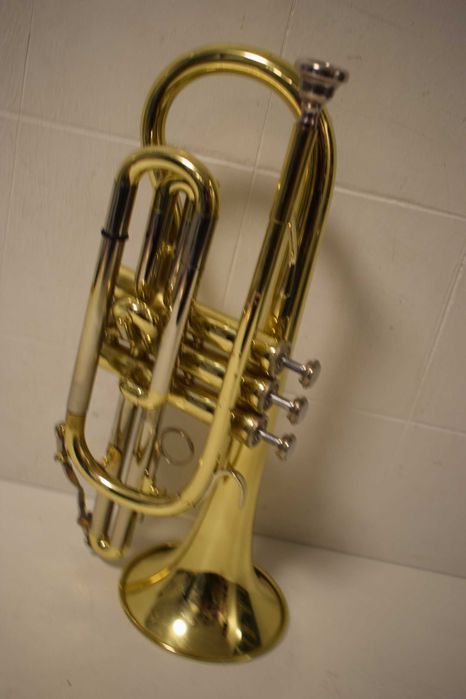 Corneta Blassing  com estoijo. N 13