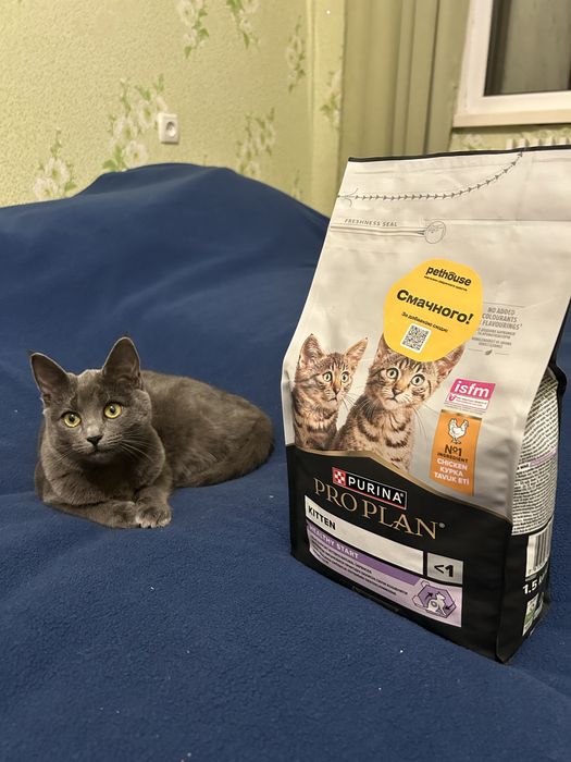 Корм для кошенят Purina Pro Plan Kitten
