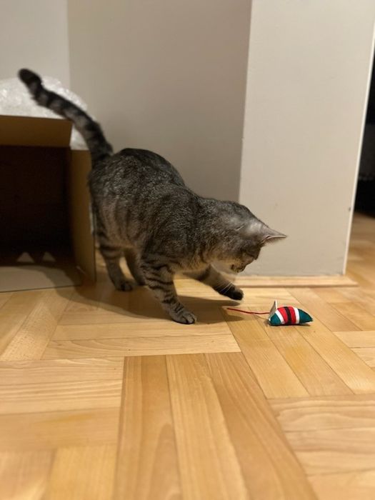 Przytulasek cudowny chłopak około trzech lat