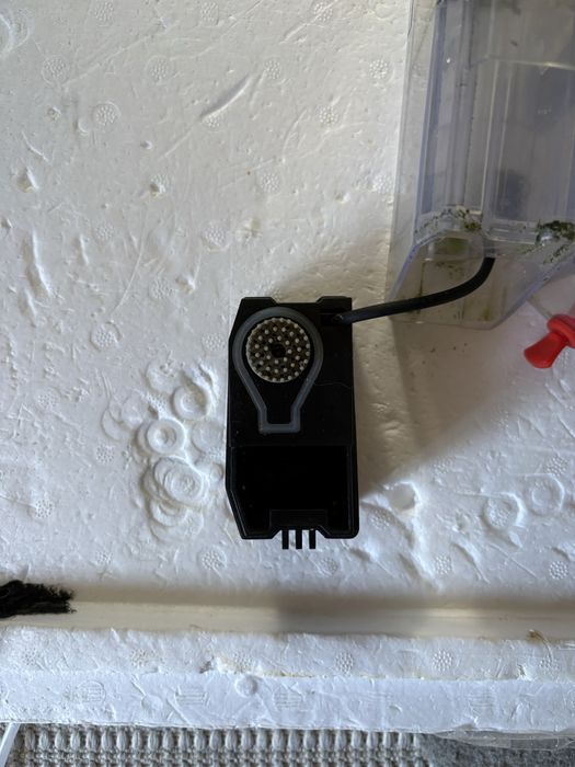 Odpieniacz Bubble Magus Mini Q