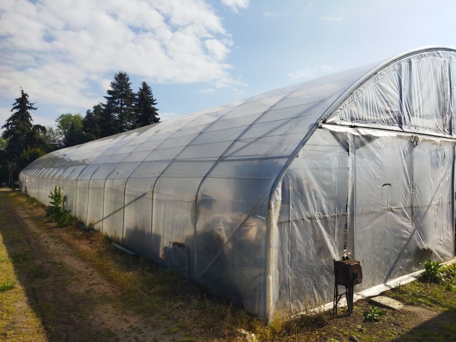 Tunel foliowy, konstrukcja tunelu ogrodniczego