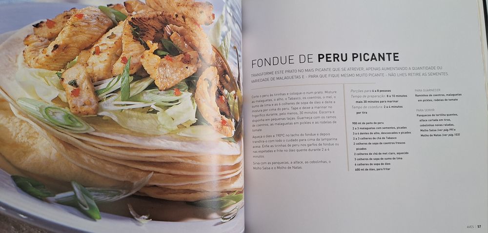 O livro do fondue 100 receitas