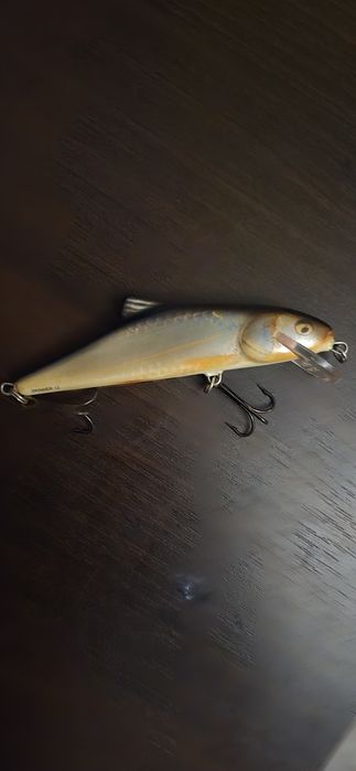 Salmo    skinner 12 RR