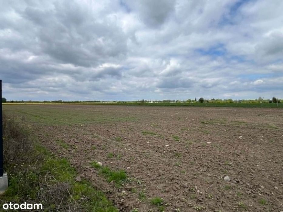 Działka 1000m2 Paprotnia – buduj się od zaraz!