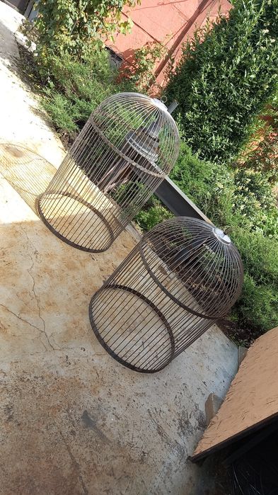 Клітка Декор  Клетка