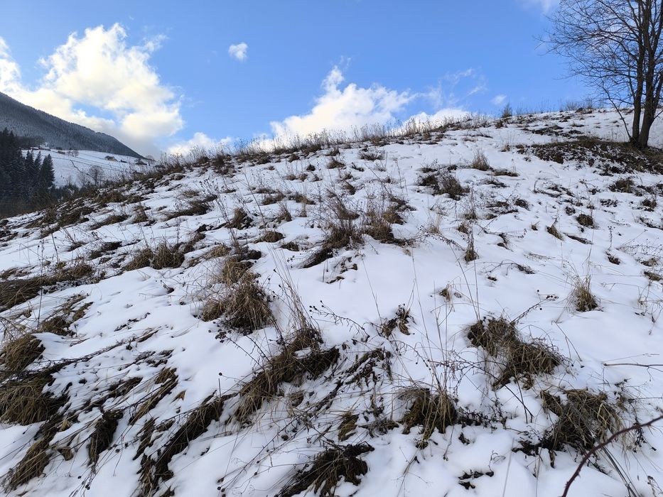 Можливий поділ  від 10 сотин