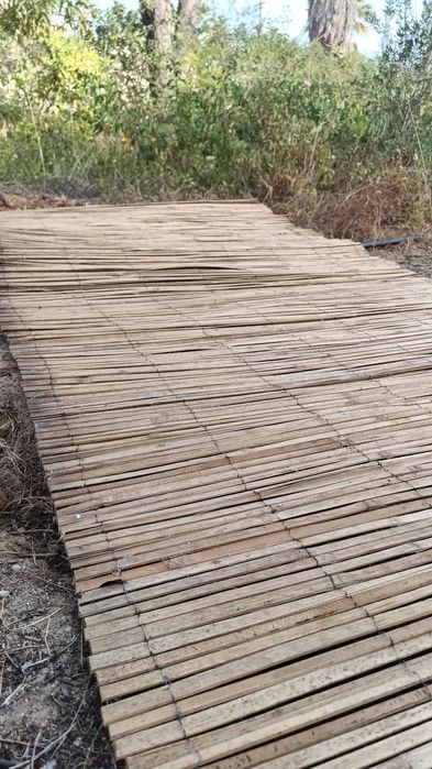 Vedação de cana 1.5m x 3m