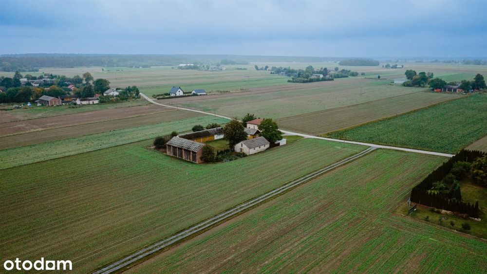 Zdjęcie 6