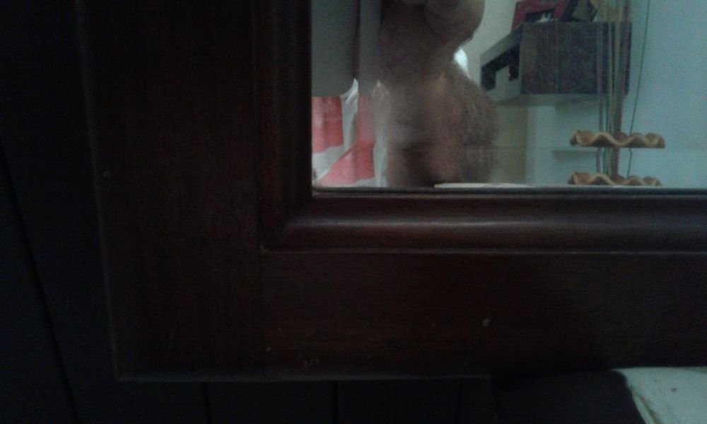 Espelho com moldura em madeira