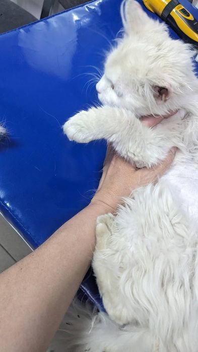 Хлопчик терміново шукає люблячу сім'ю