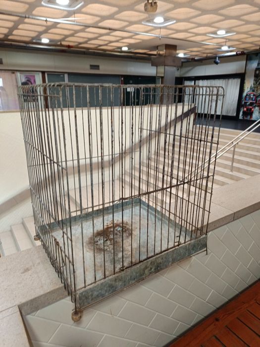 Gaiola usada para desocupar para aves de pequeno ou médio porte