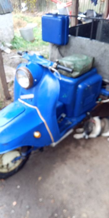 Продаи муравей вробочобустои