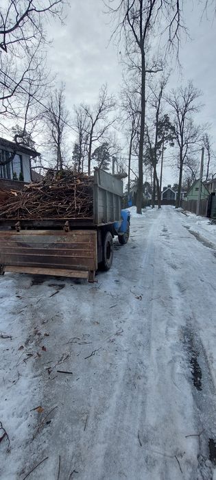 Вивеземо будь-яке сміття швидко і недорого