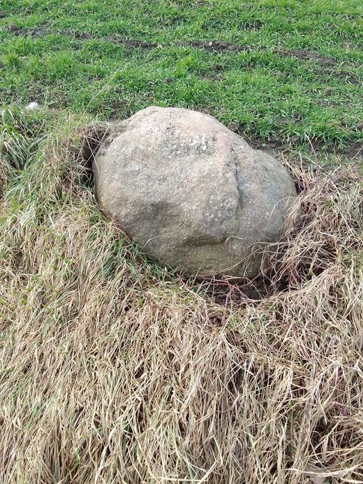 Oddam Spore Kamienie