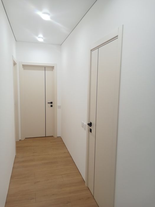 Ремонт демонтаж і монтаж дверей,столярні роботи