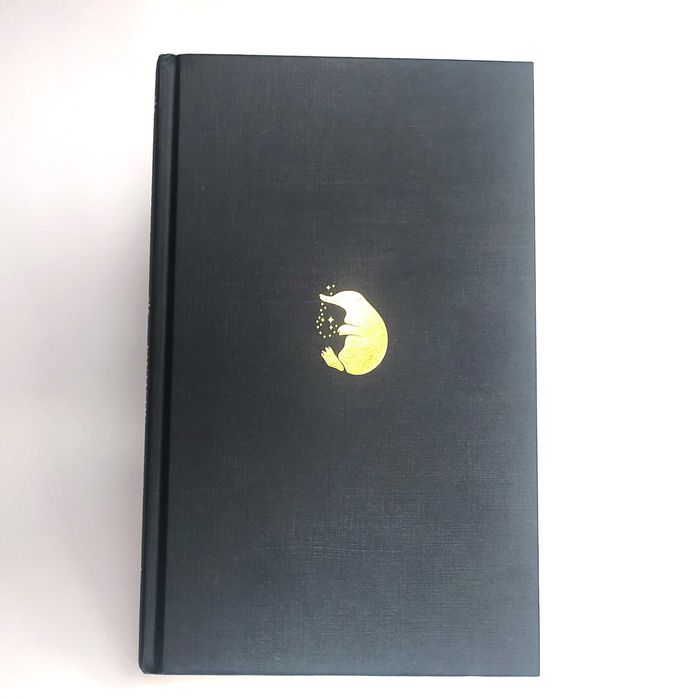 NOVO — Fantastic Beasts and Where to Find Them, Harry Potter