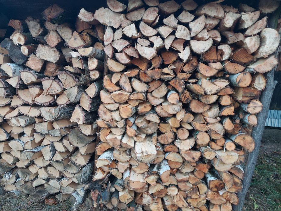 Drzewo opałowe sosna, akacja, brzoza