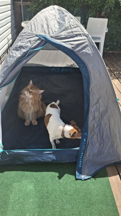 QUECHUA Tenda de campismo 2 lugares, MH100