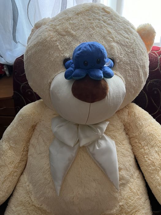 Ведмідь великий, найкращий подарунок